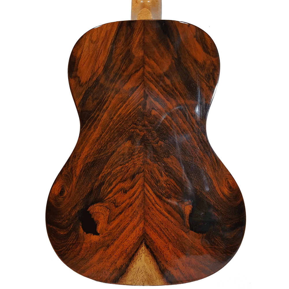 Brazilian rosewood guitar hotsell