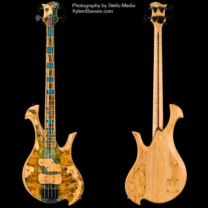 xylem-bass-aesura-(8)